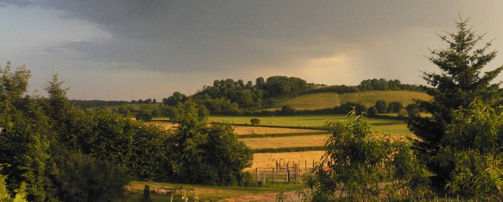 Фотография Барона