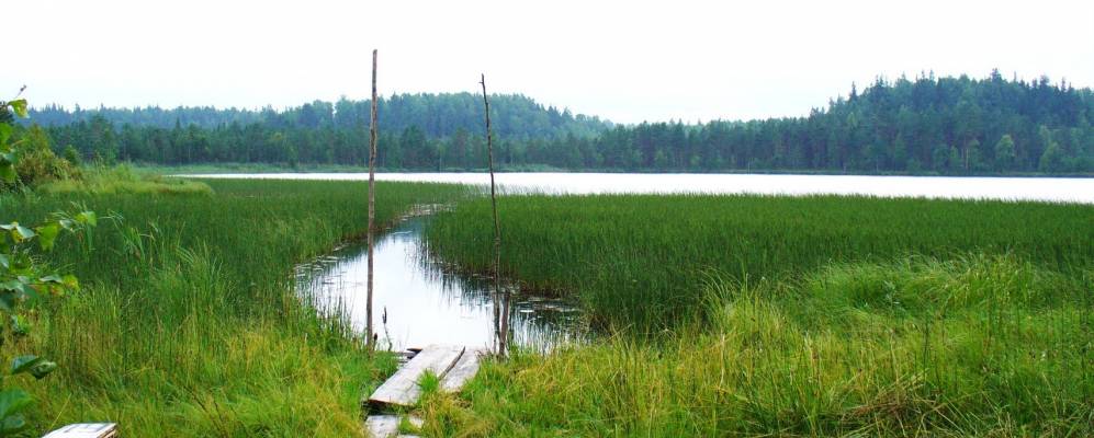 Фотография Княщинки