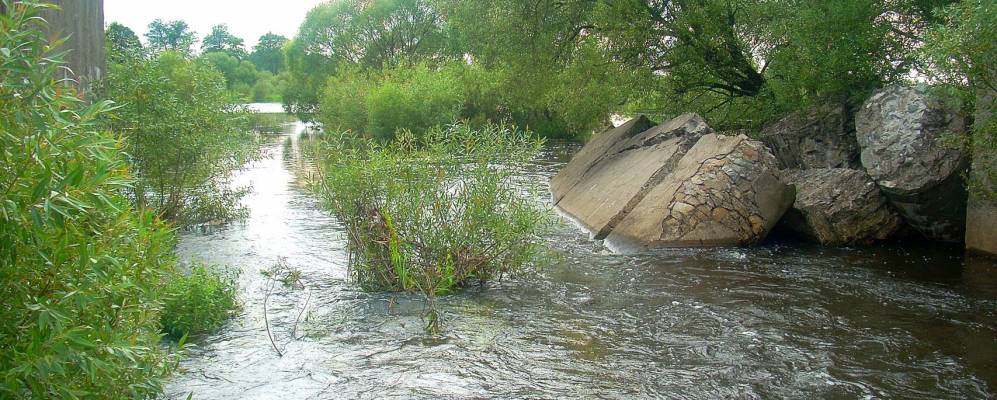 
            Фотография Тупальцы