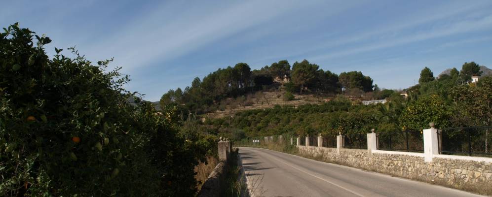 
            Фотография Парсента