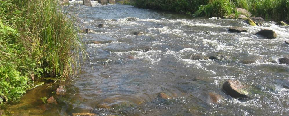 Фотография деревни Нагуевичи
