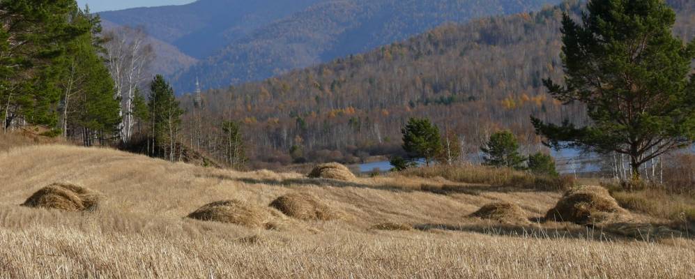 
            Фотография Береговой