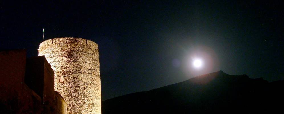 Фотография Силес