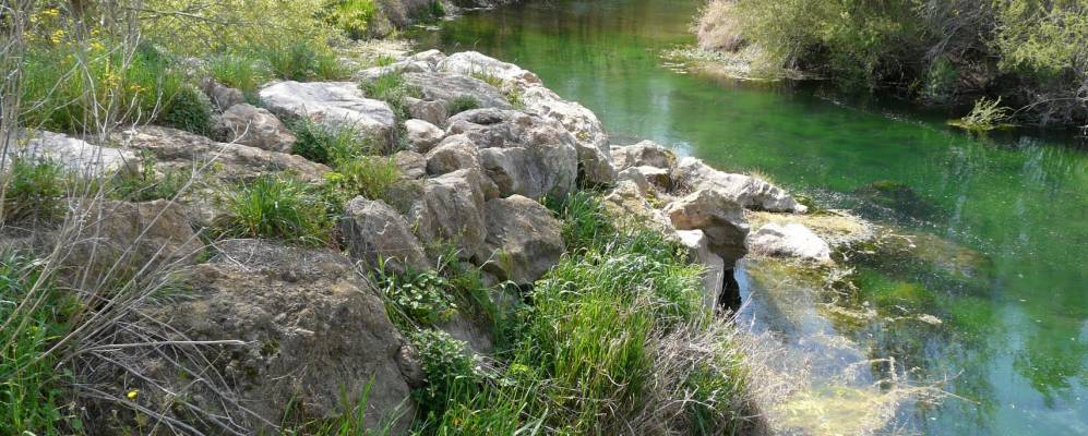 
            Фотография Torroella de Fluviá