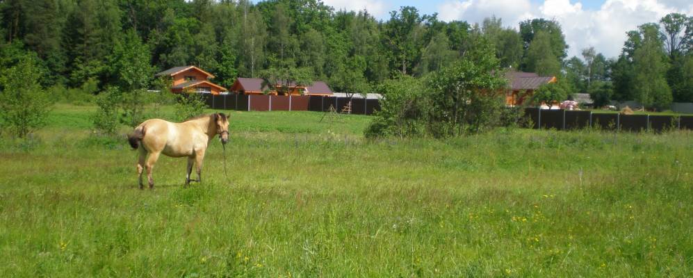 Фотография Погребища