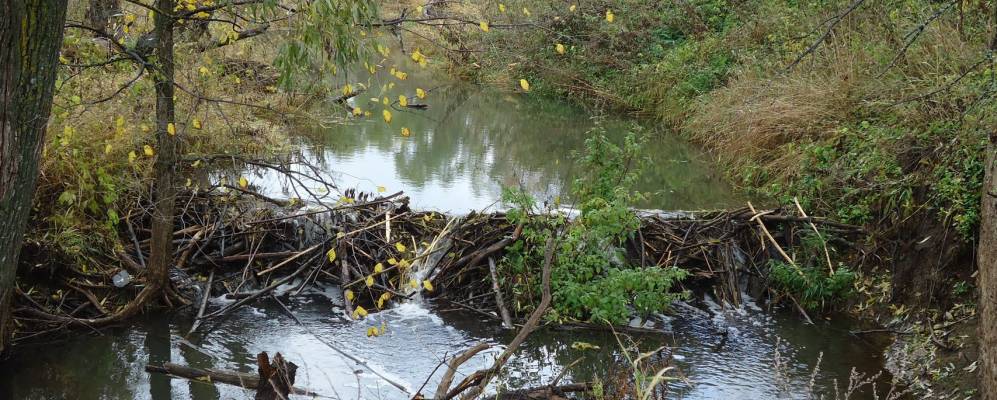 
            Фотография Бахчасарая