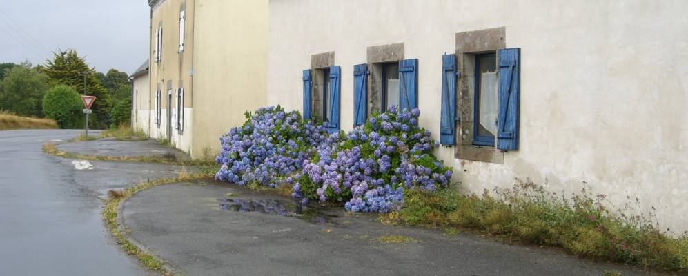 
            Фотография Ланмёра