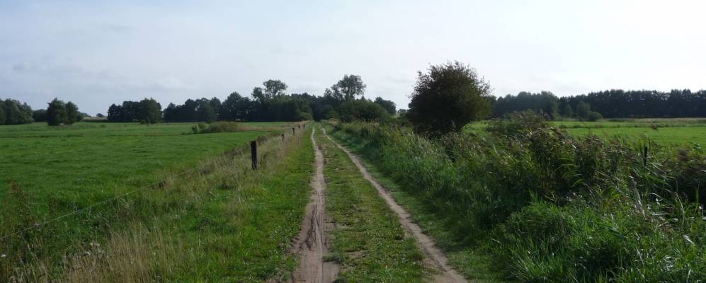 
            Фотография Rankwitz