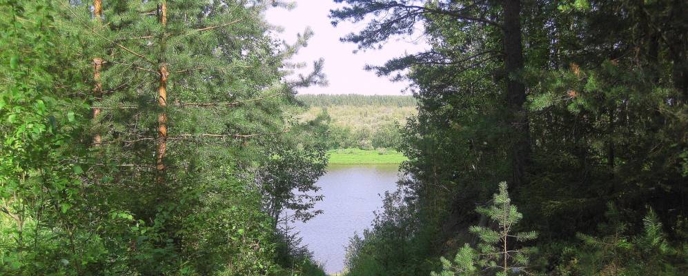 Фотография Свининской