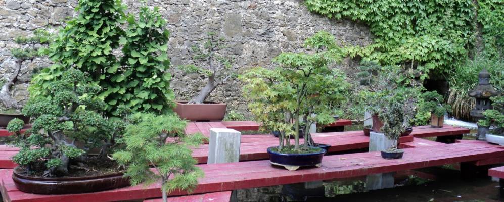 
            Фотография Буассе-э-Гожака