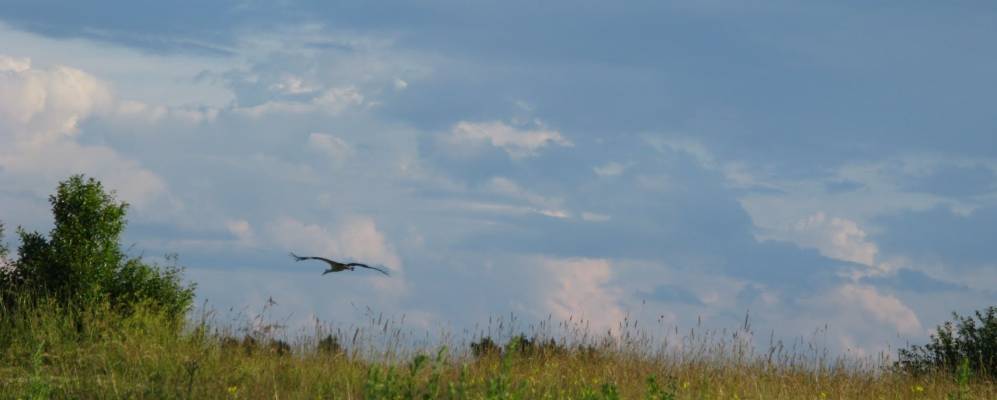 
            Фотография Екатерингофа