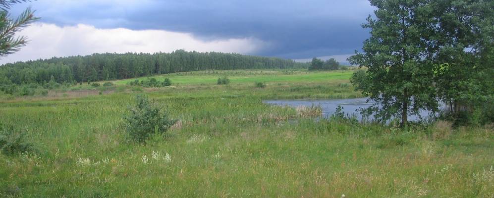 
            Фотография деревни Могилёвцы