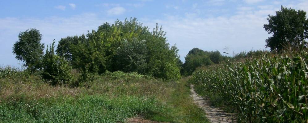 
            Фотография поселка Борки