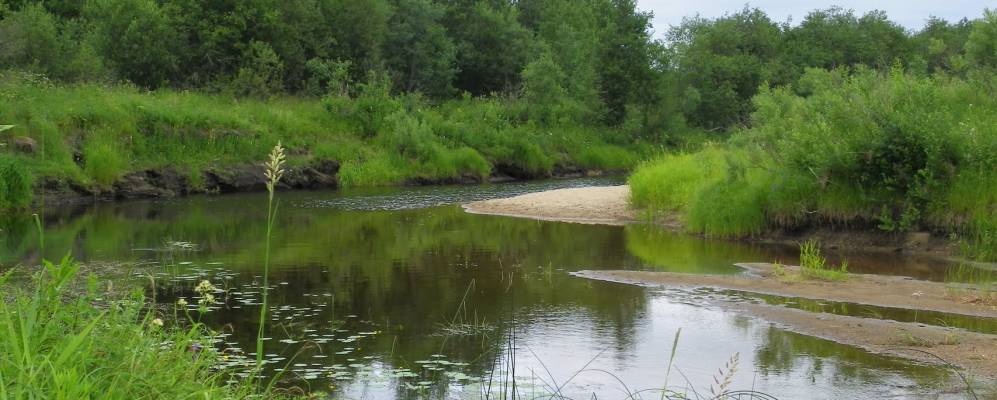 
            Фотография Зыково