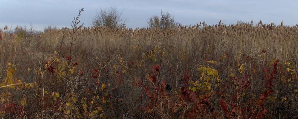 
            Фотография Казахстана