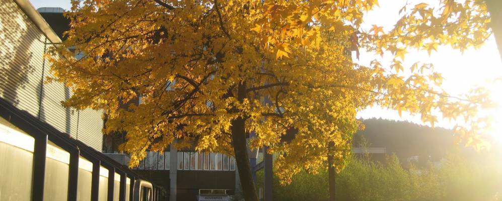 
            Фотография Регенсдорфа