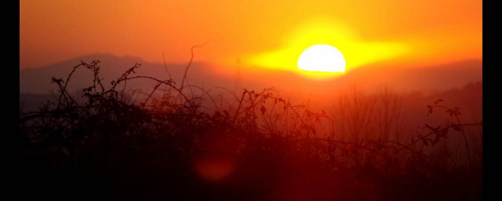 
            Фотография Гриньи