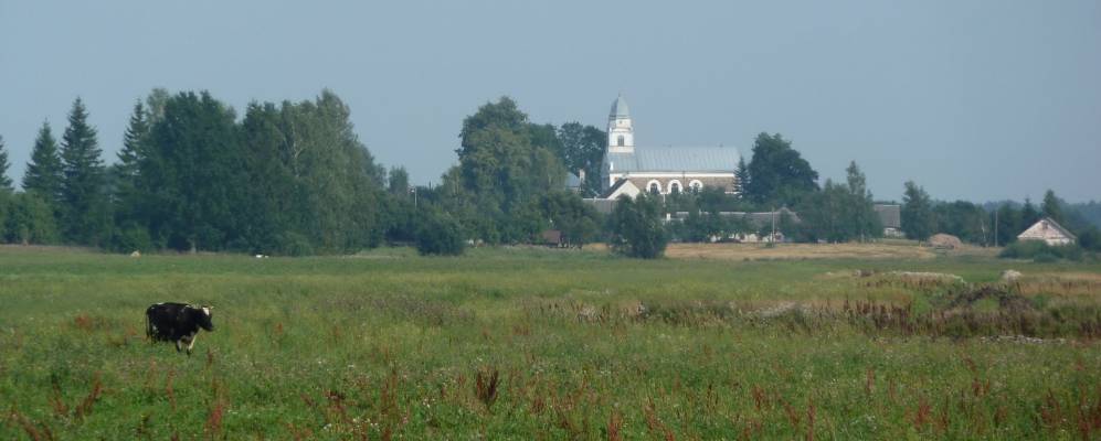 Фотография деревни Шинковцы