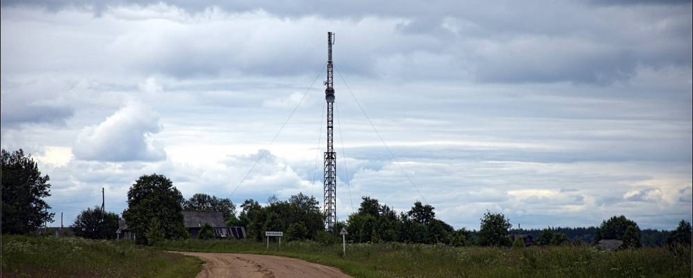 
            Фотография Заберезника