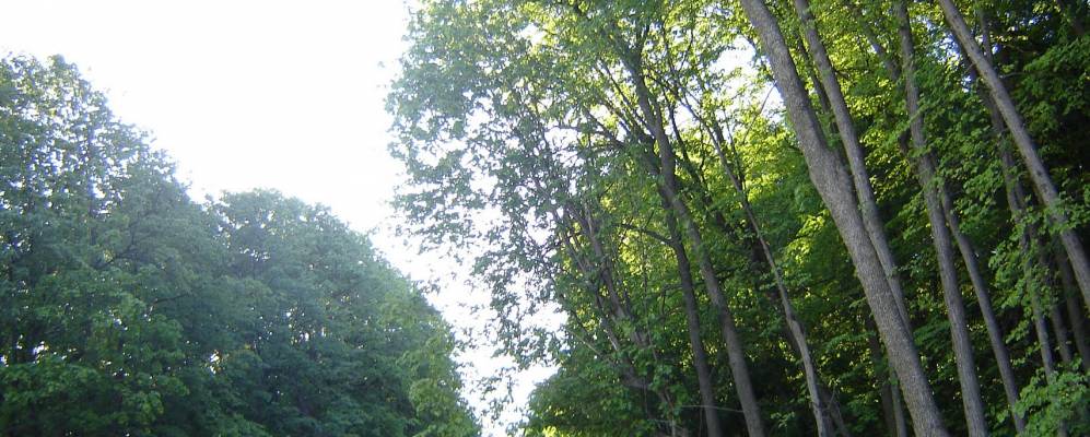 
            Фотография Тюкашей