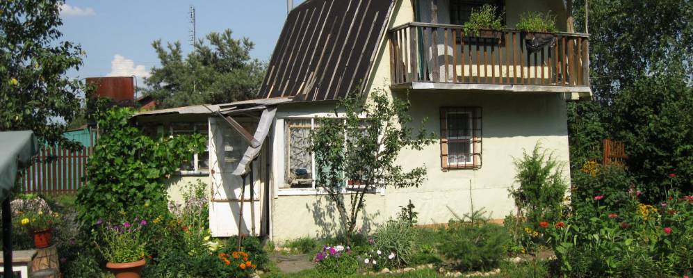 
            Фотография Курино