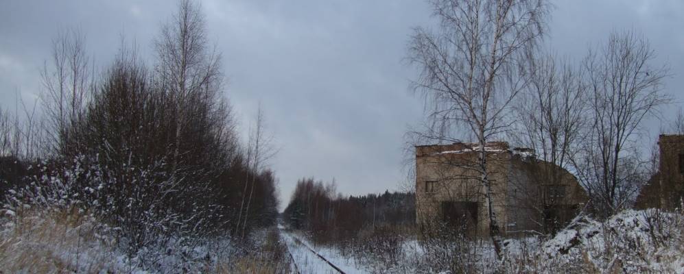 
            Фотография Кузяево