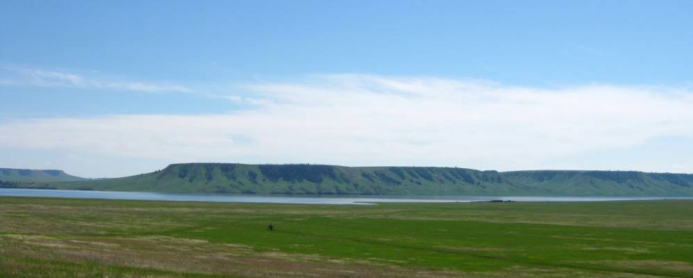 
            Фотография Харетов