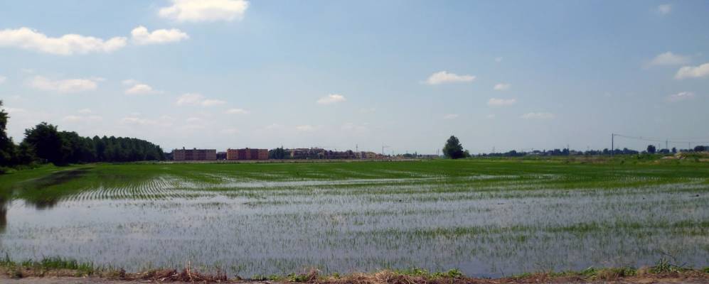 
            Фотография Чертоза-ди-Павии