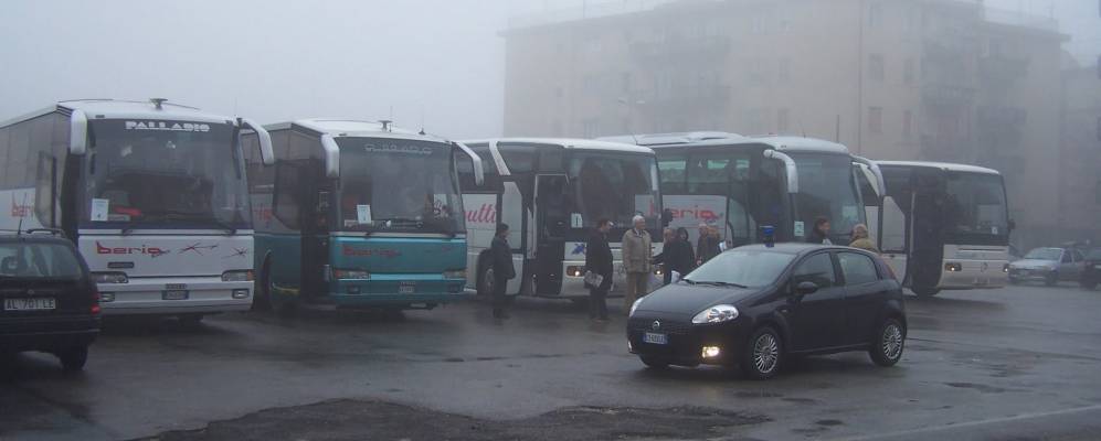 
            Фотография Спинеи