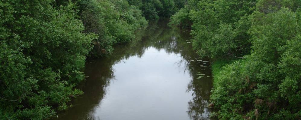 
            Фотография Сергейково