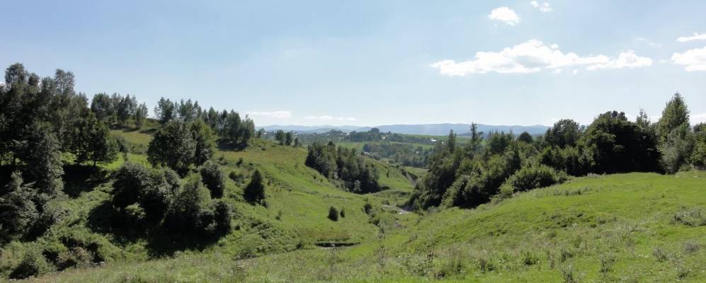 
            Фотография Ластовцы