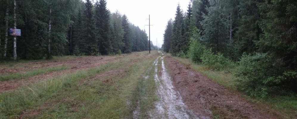 
            Фотография Пихтовой