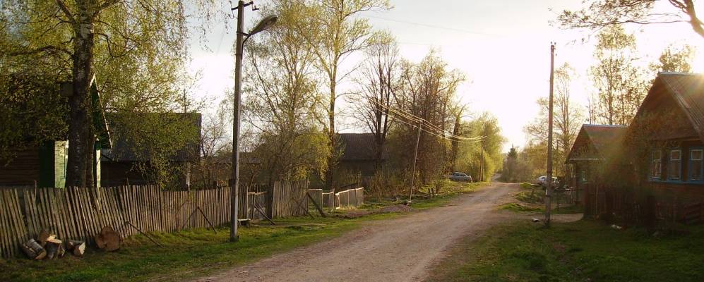 
            Фотография Невского