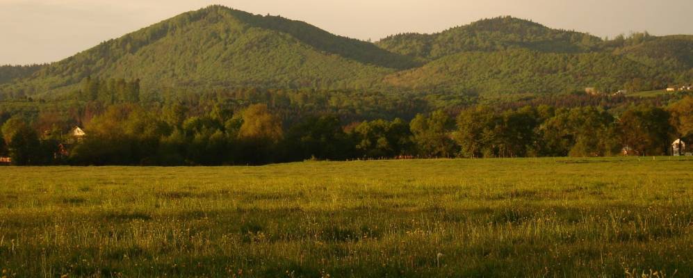 
            Фотография Багны