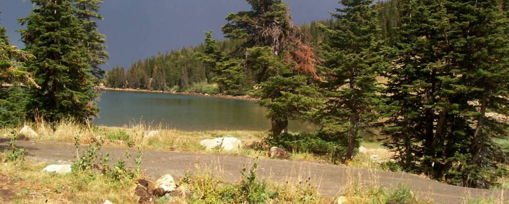 
            Фотография Барли