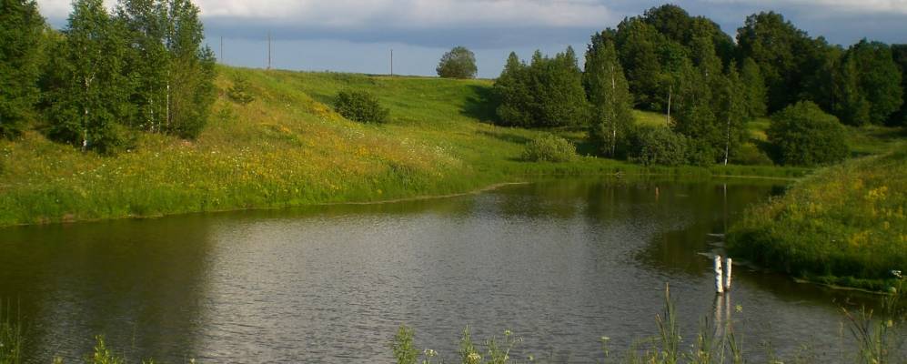 
            Фотография Успенского