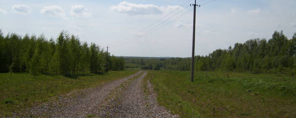 
            Фотография Троицкого