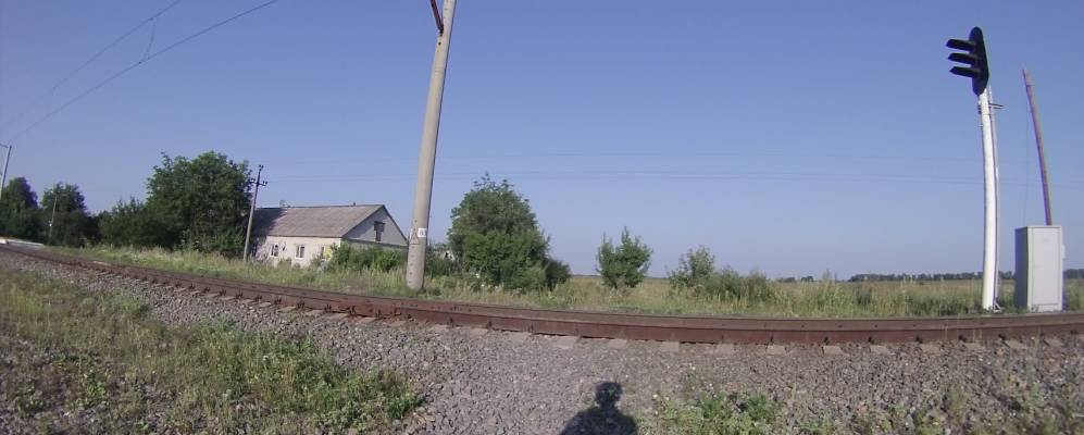 
            Фотография Майстровой Воли