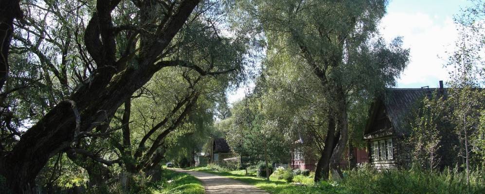 Фотография Разлива