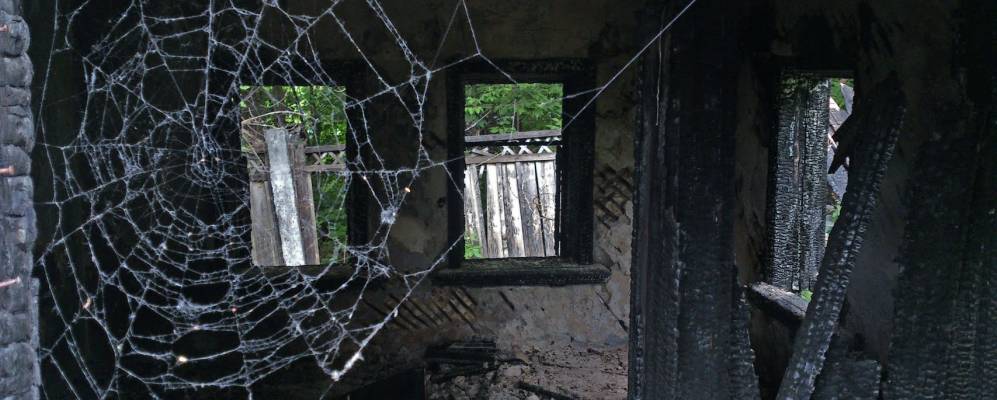 
            Фотография Семеновки