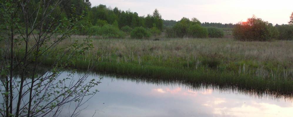 
            Фотография Радогощи