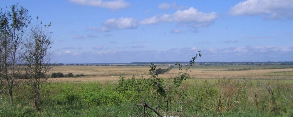 
            Фотография Заречья