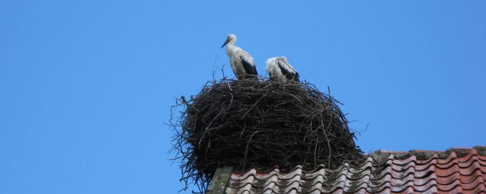 
            Фотография Третьяково