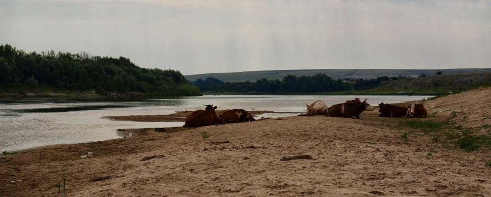 
            Фотография Бобровского Первого