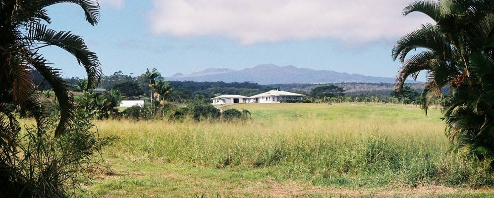 
            Фотография Пепикео