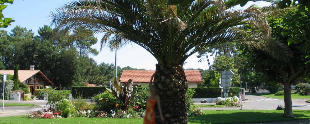 
            Фотография Капбретона