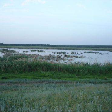 Галушкинский