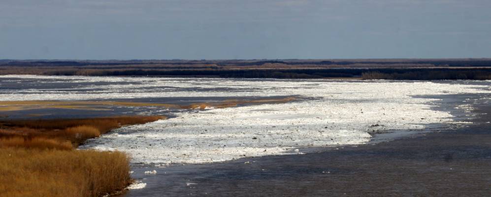 
            Фотография Устрема