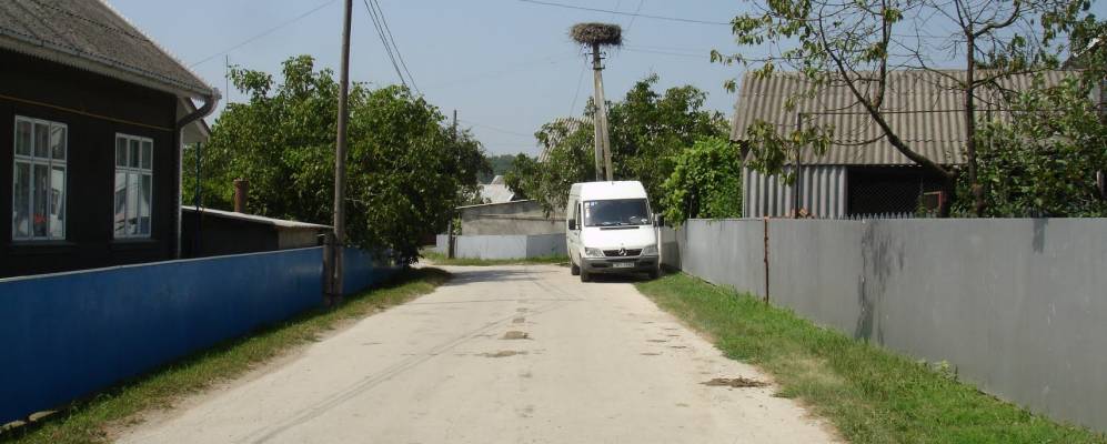 
            Фотография Малиновки