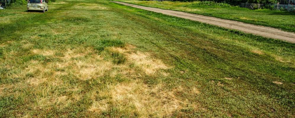 
            Фотография Рождественского